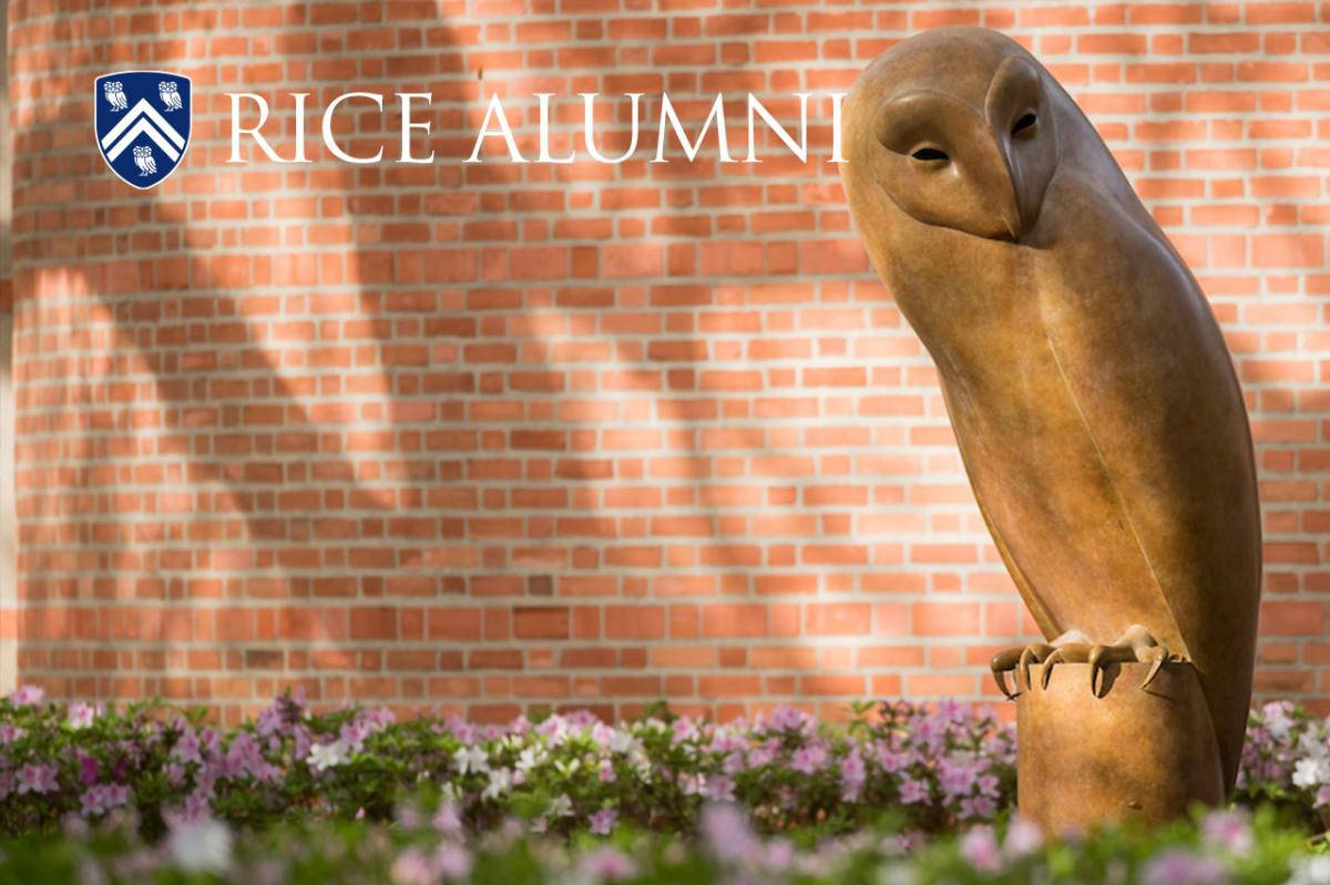 Majestic Owl Statue at Rice University Wallpaper