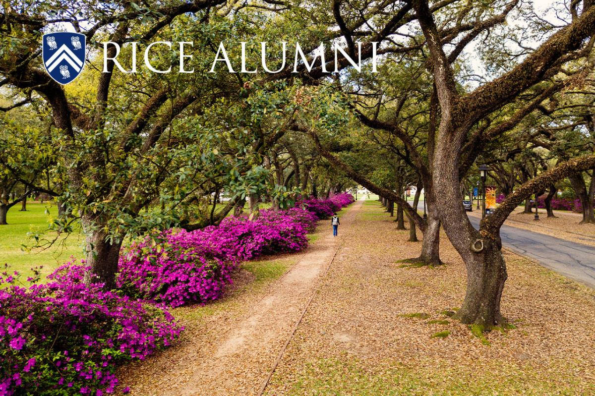 Rice University Pathway Wallpaper