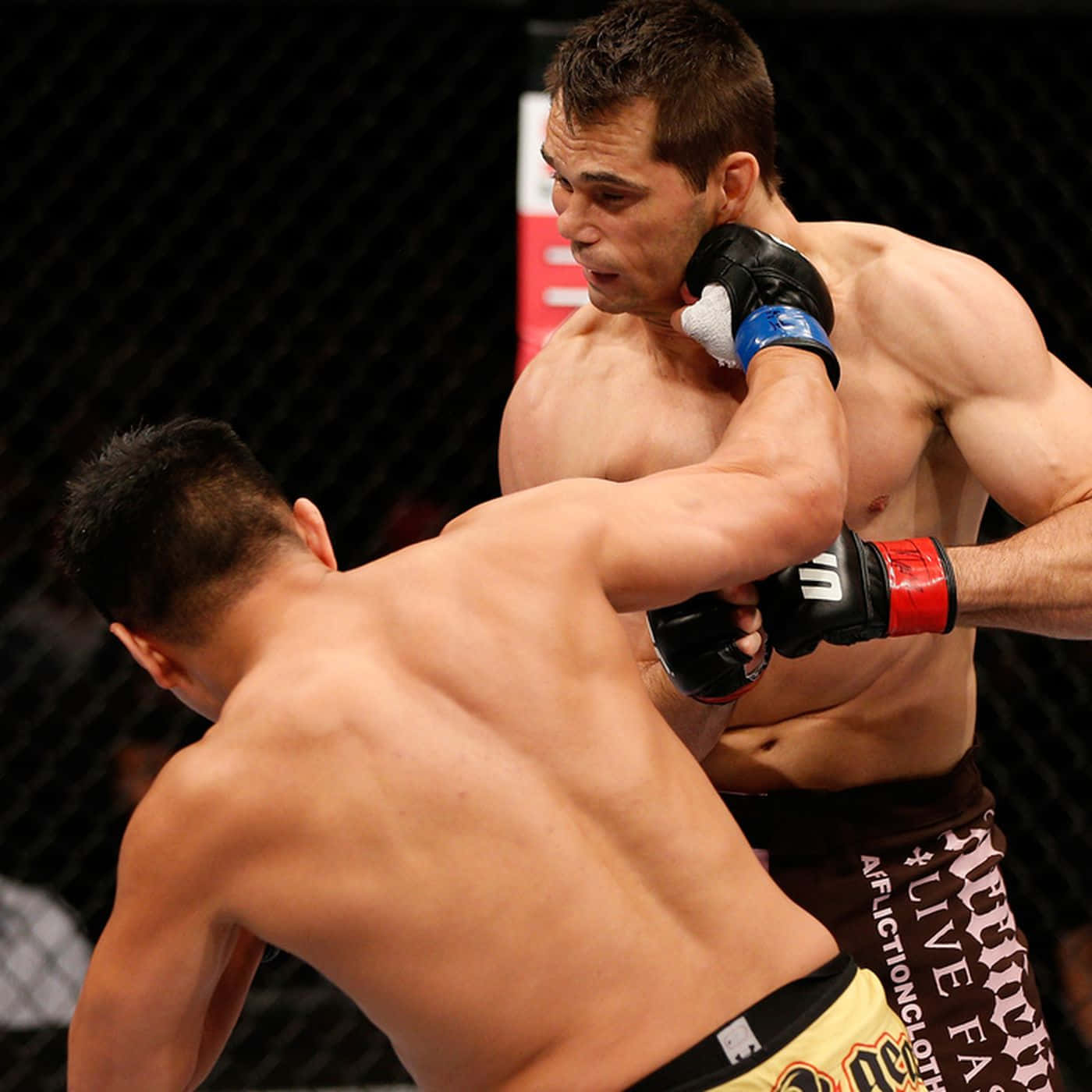 Richfranklin Versus Cung Le Translates To 