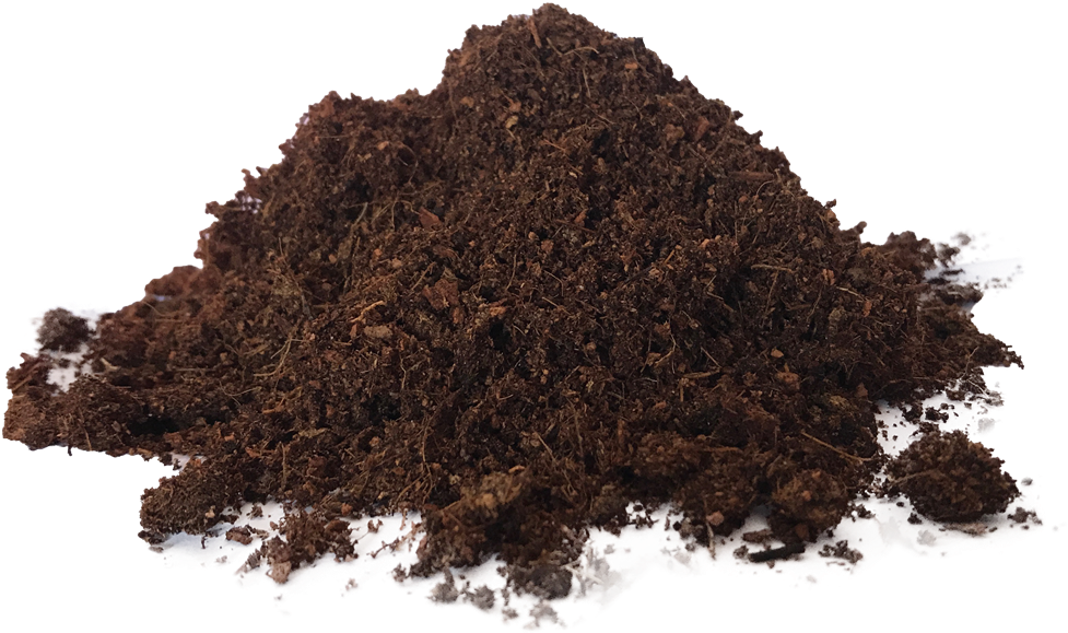 Rich Organic Soil Texture PNG