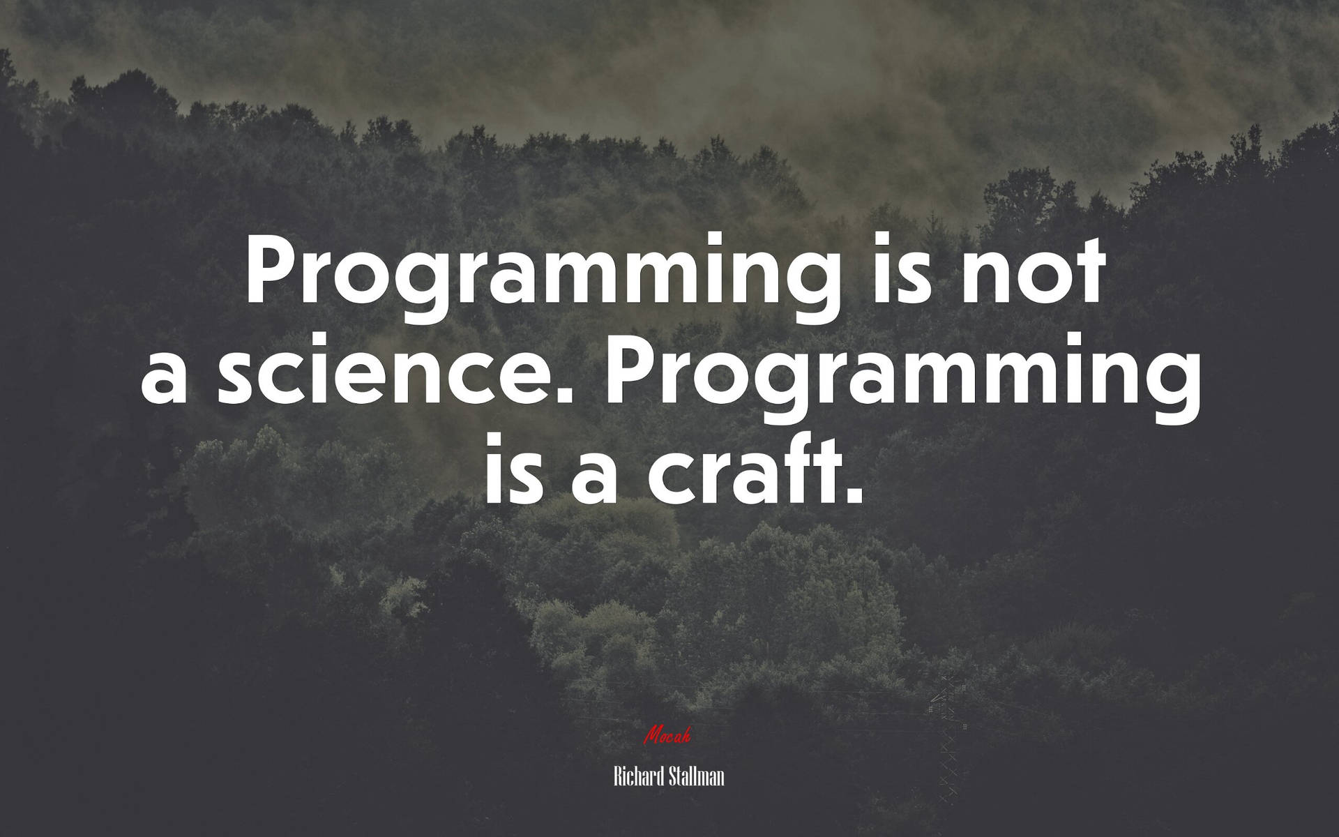 Richard Stallman Programming Quote Wallpaper