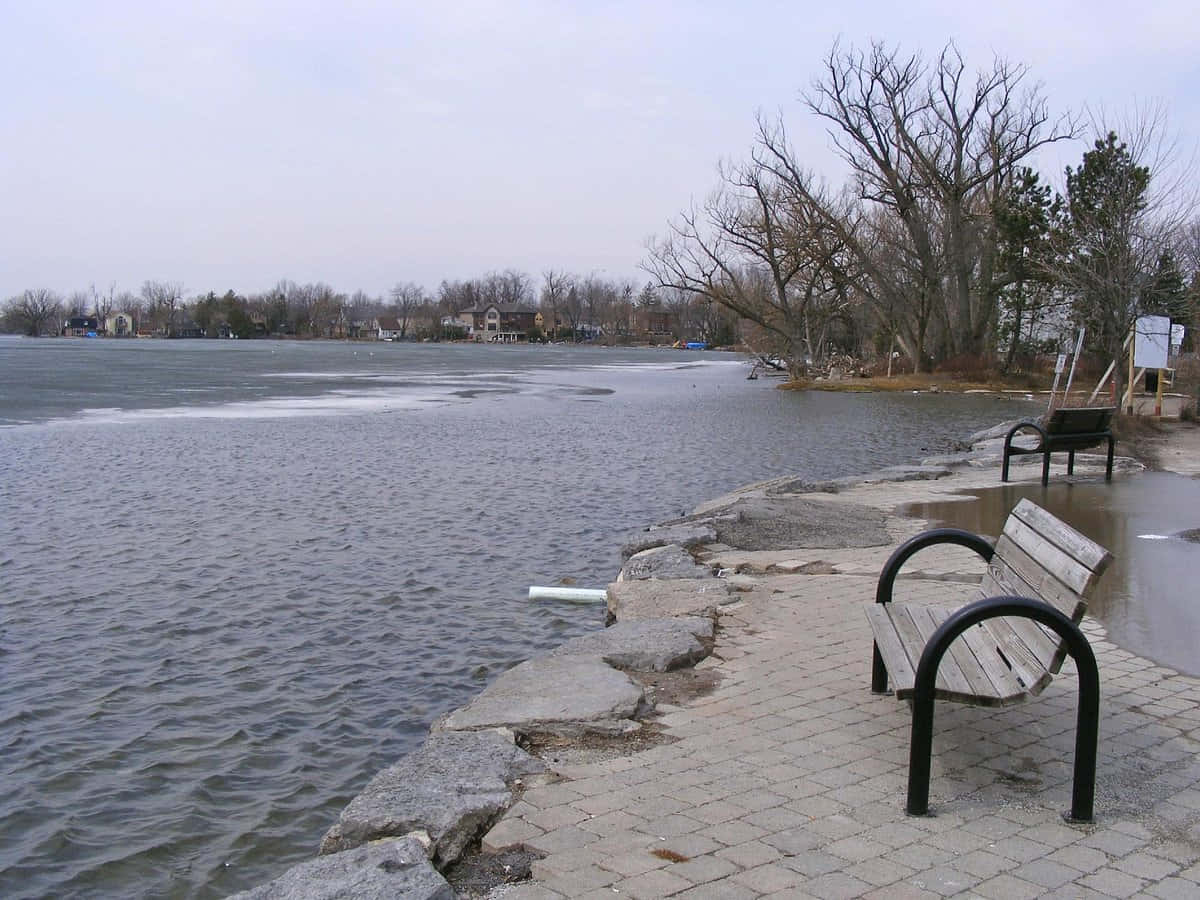 Lake Wilcox Park Richmond Hill Achtergrond