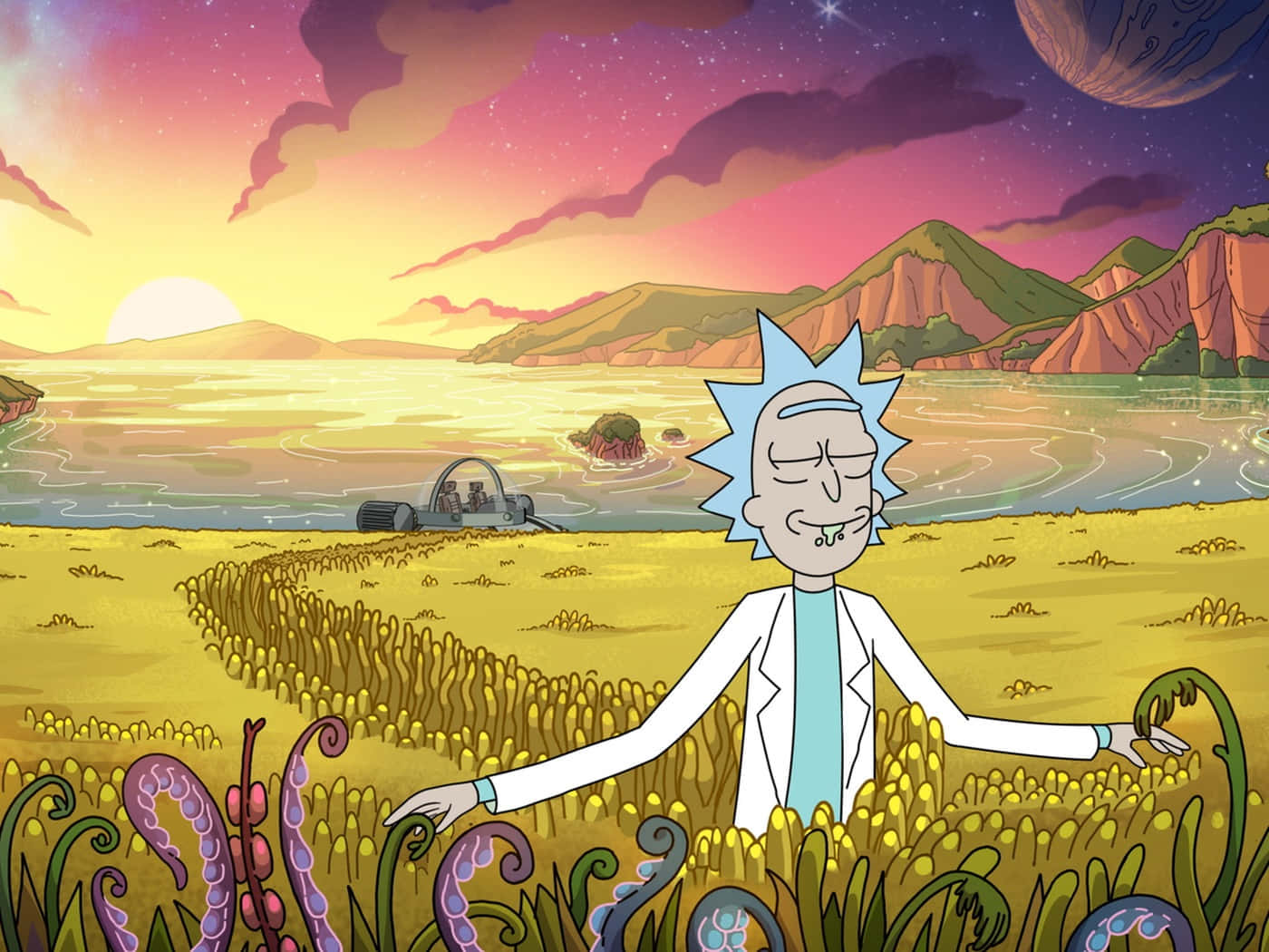 Rick og Morty i et felt med et solnedgang
