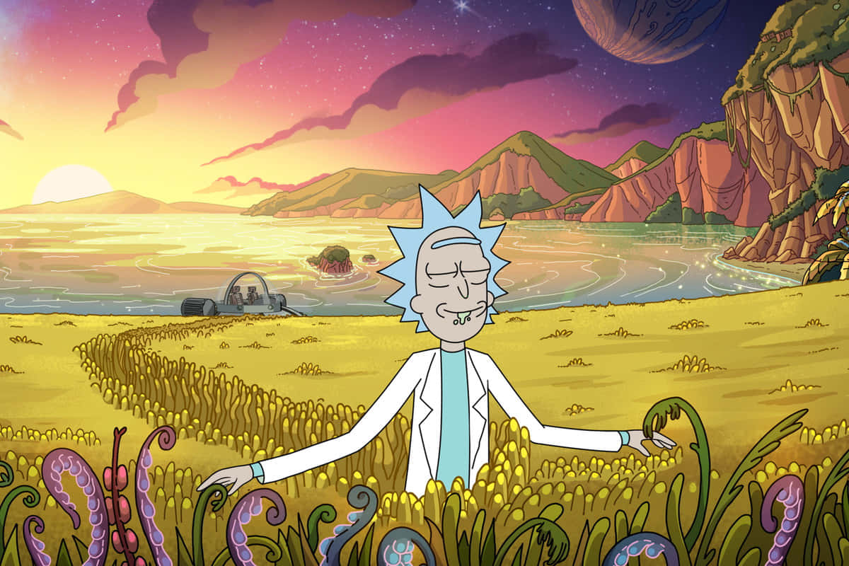 Rick And Morty In A Field With A Sunset
