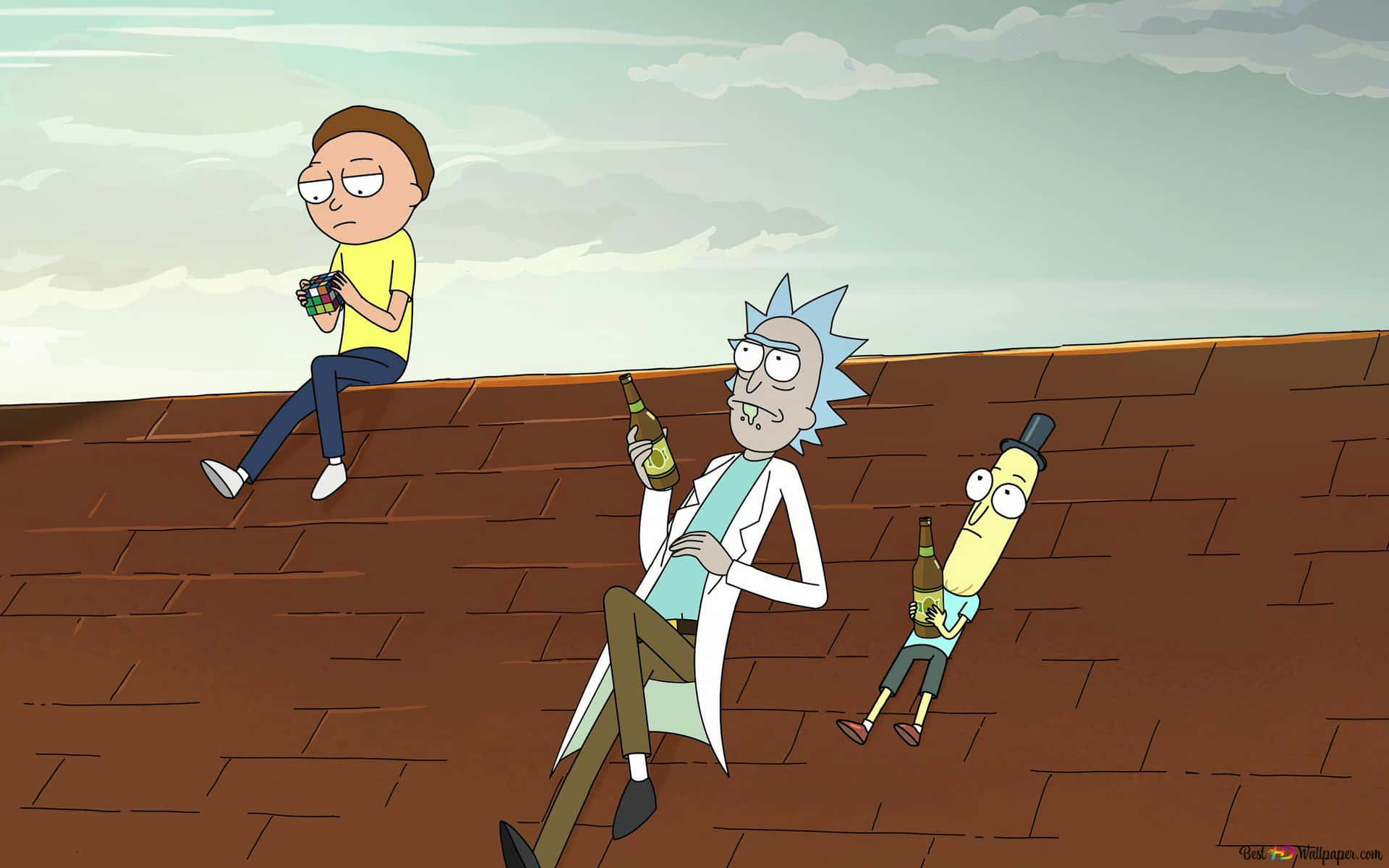 Rick And Morty Zoom Background Roof