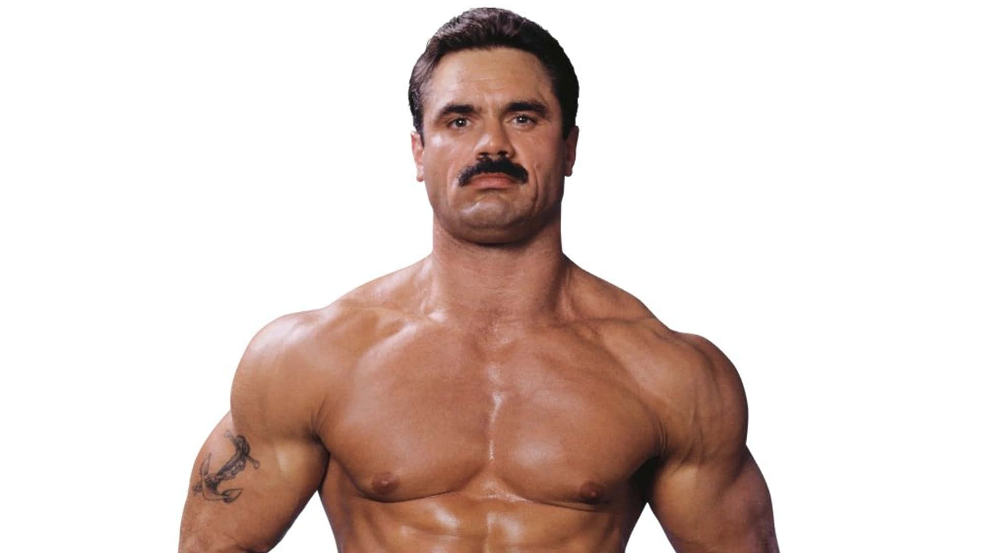Personlig profilfotografering af WWE-legenden Rick Rude Wallpaper