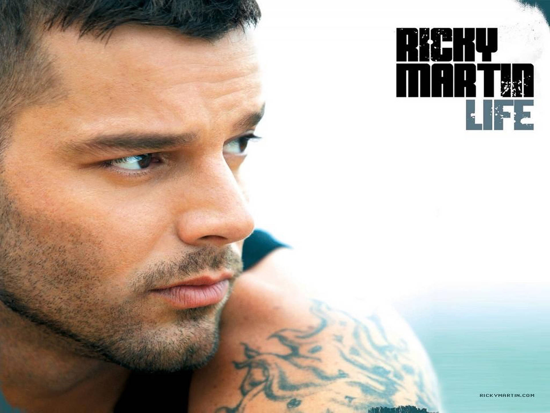 Ricky Martin Life Wallpaper