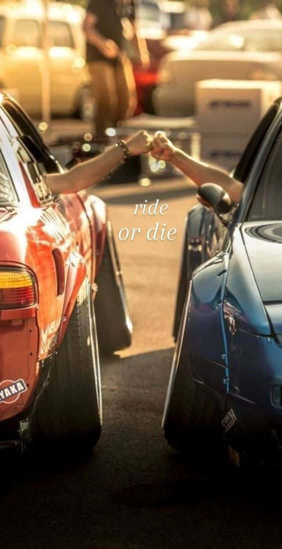To biler med ordene dø eller leve Wallpaper