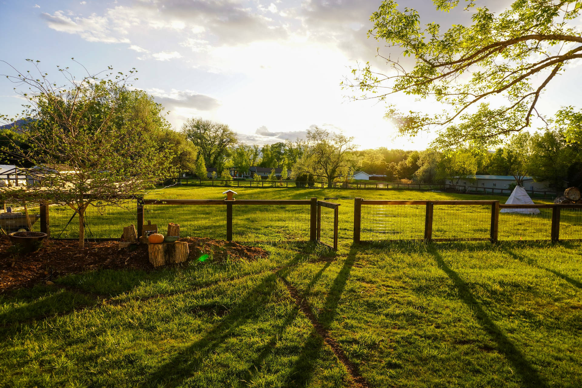 Ridge Otago Farm With Open Fence Background