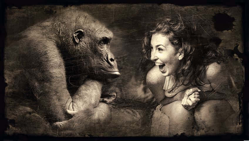 Ridiculous Gorilla And Woman Wallpaper