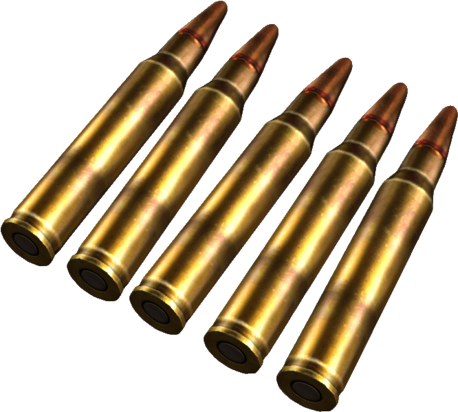 Rifle Ammunition Array PNG