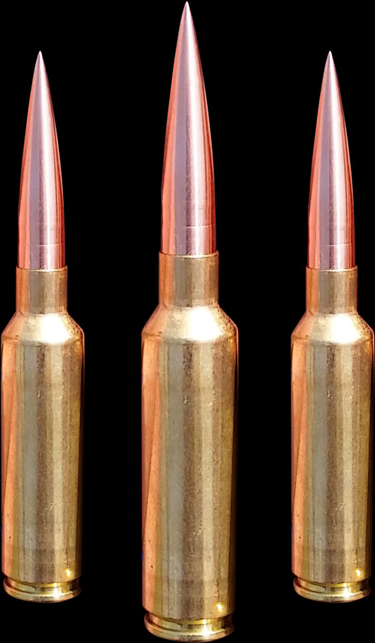 Rifle Ammunition Trio PNG