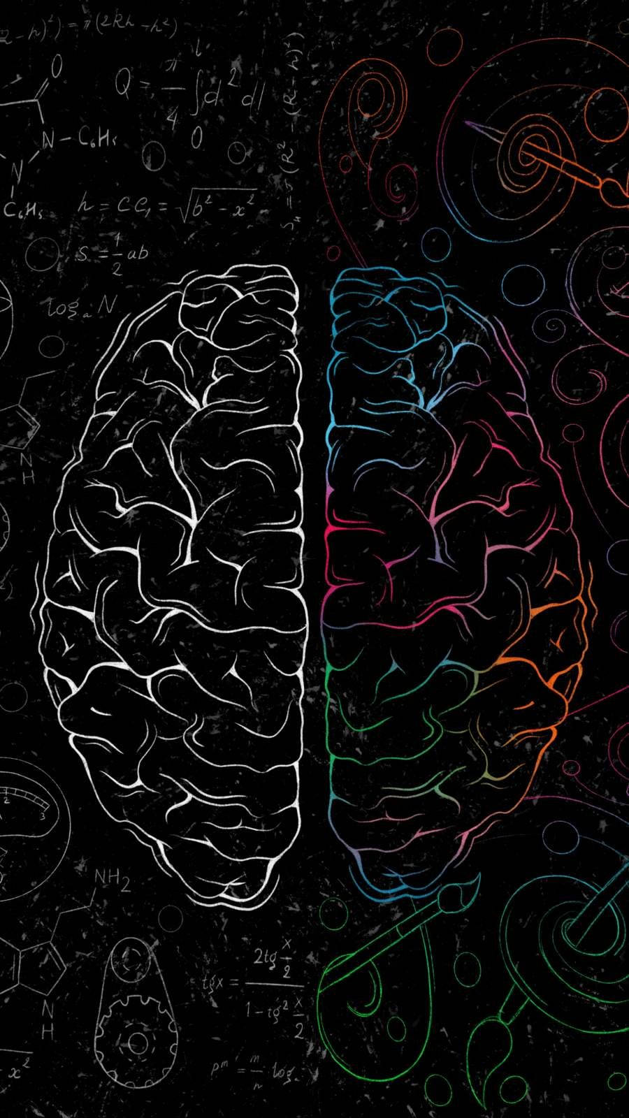 Right And Left Side Of Cerebral Cortex Wallpaper