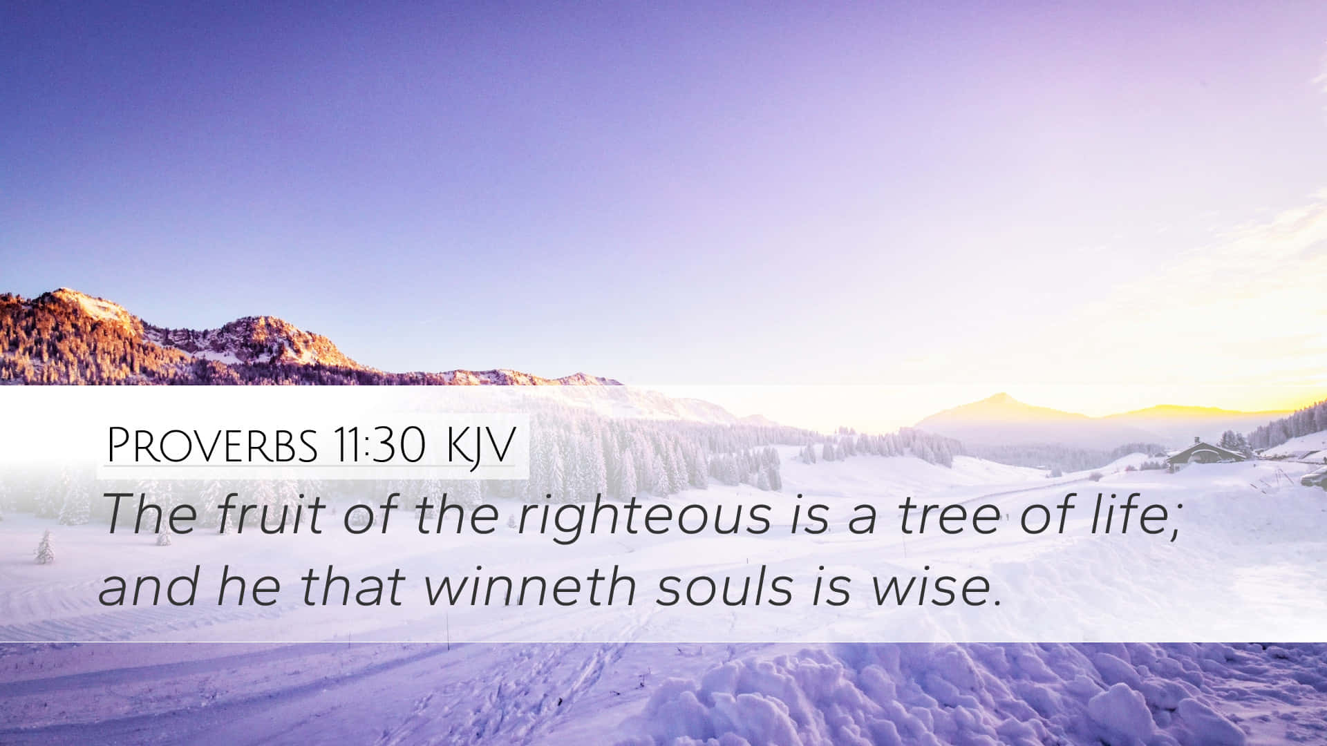 Righteous Is A Tree Of Life Verse Wallpaper