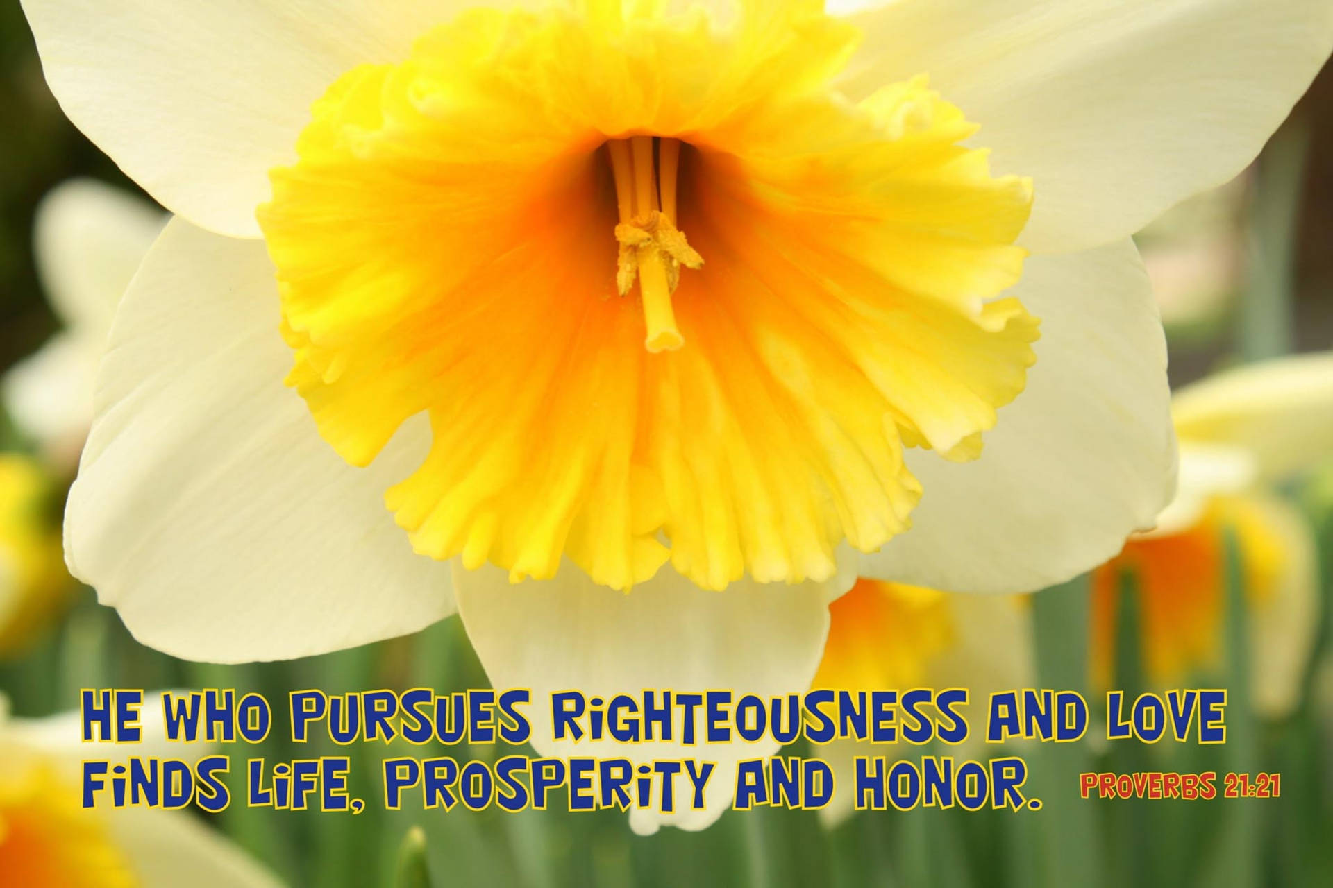 Righteousness Bible Quote Wallpaper