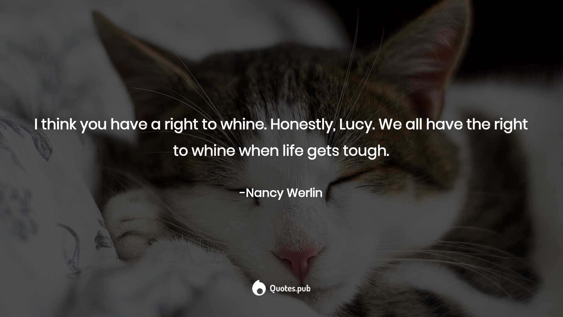 Rightto Whine Quotewith Cat Wallpaper