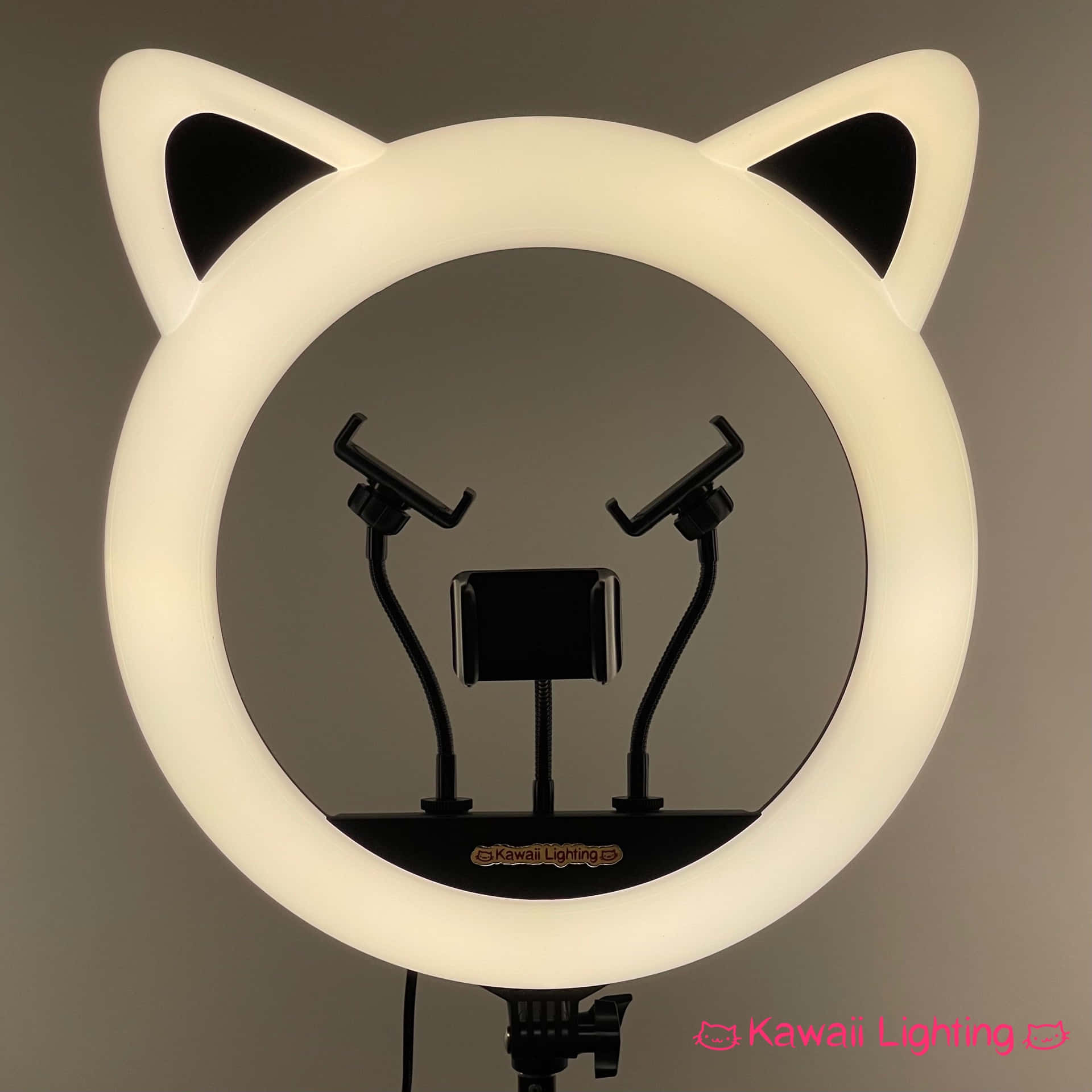 "Light up Your Life with a Ring Light"
