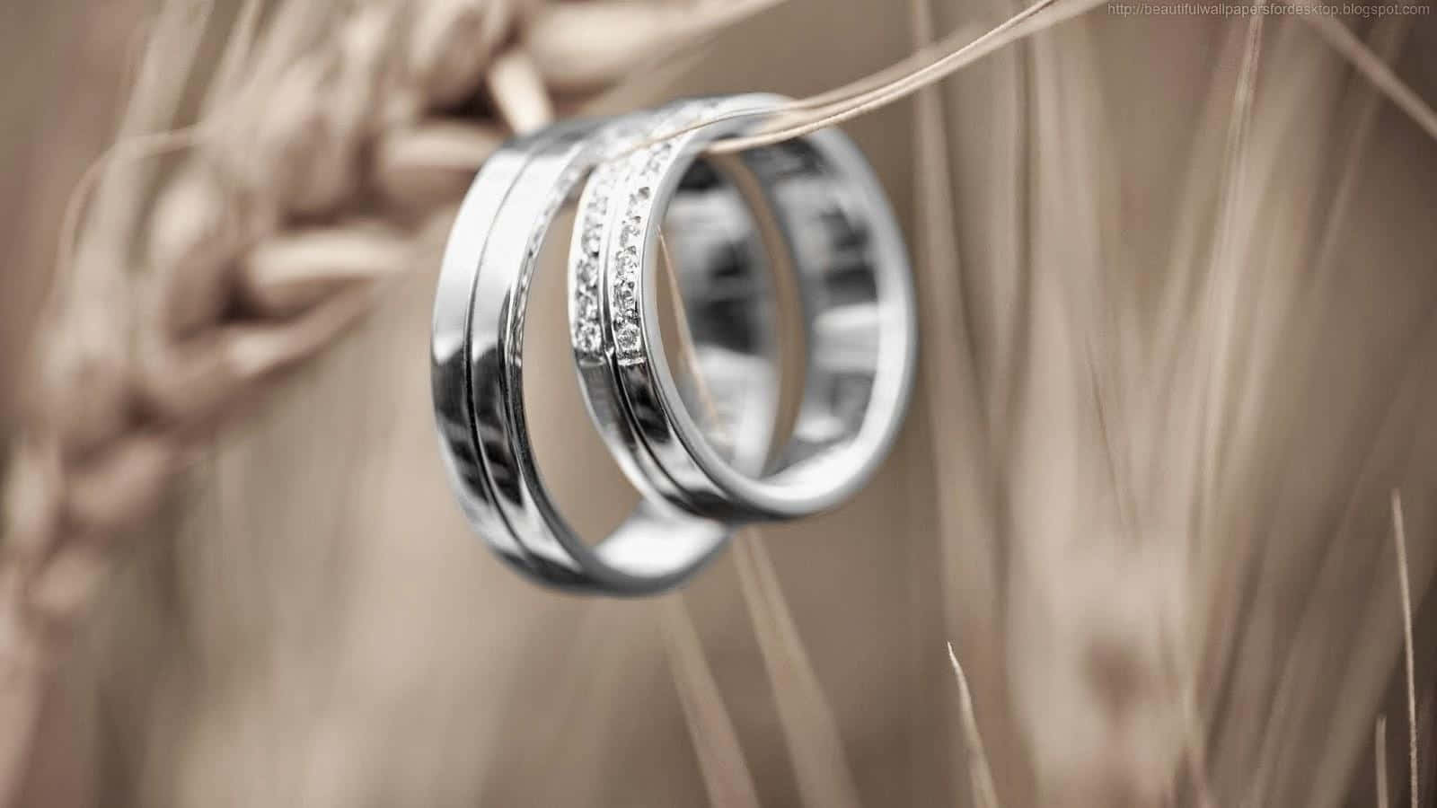 The Perfect Gift - Beautiful and Timeless Rings