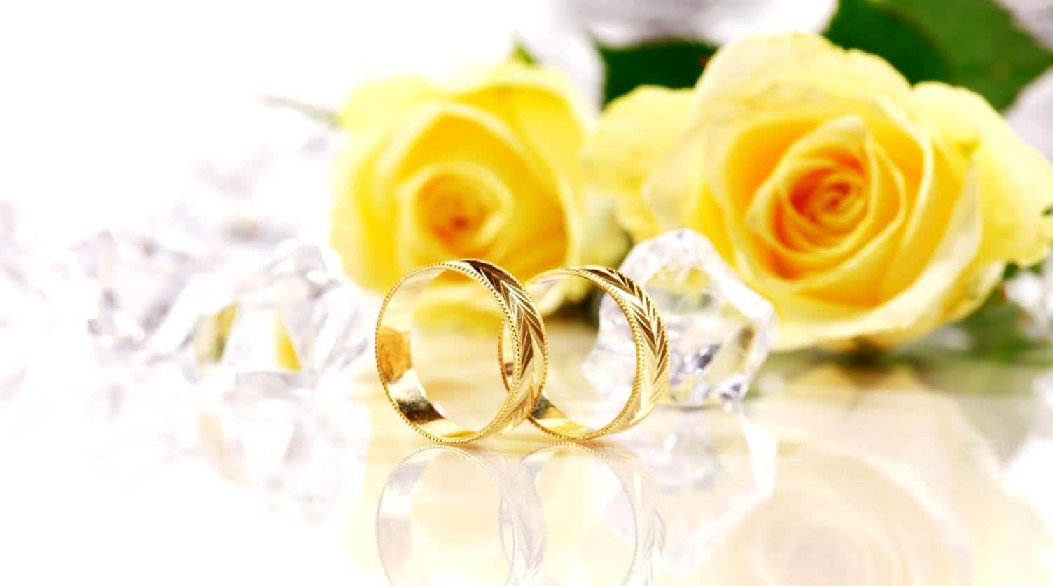 Two Wedding Rings On A White Background With Yellow Roses