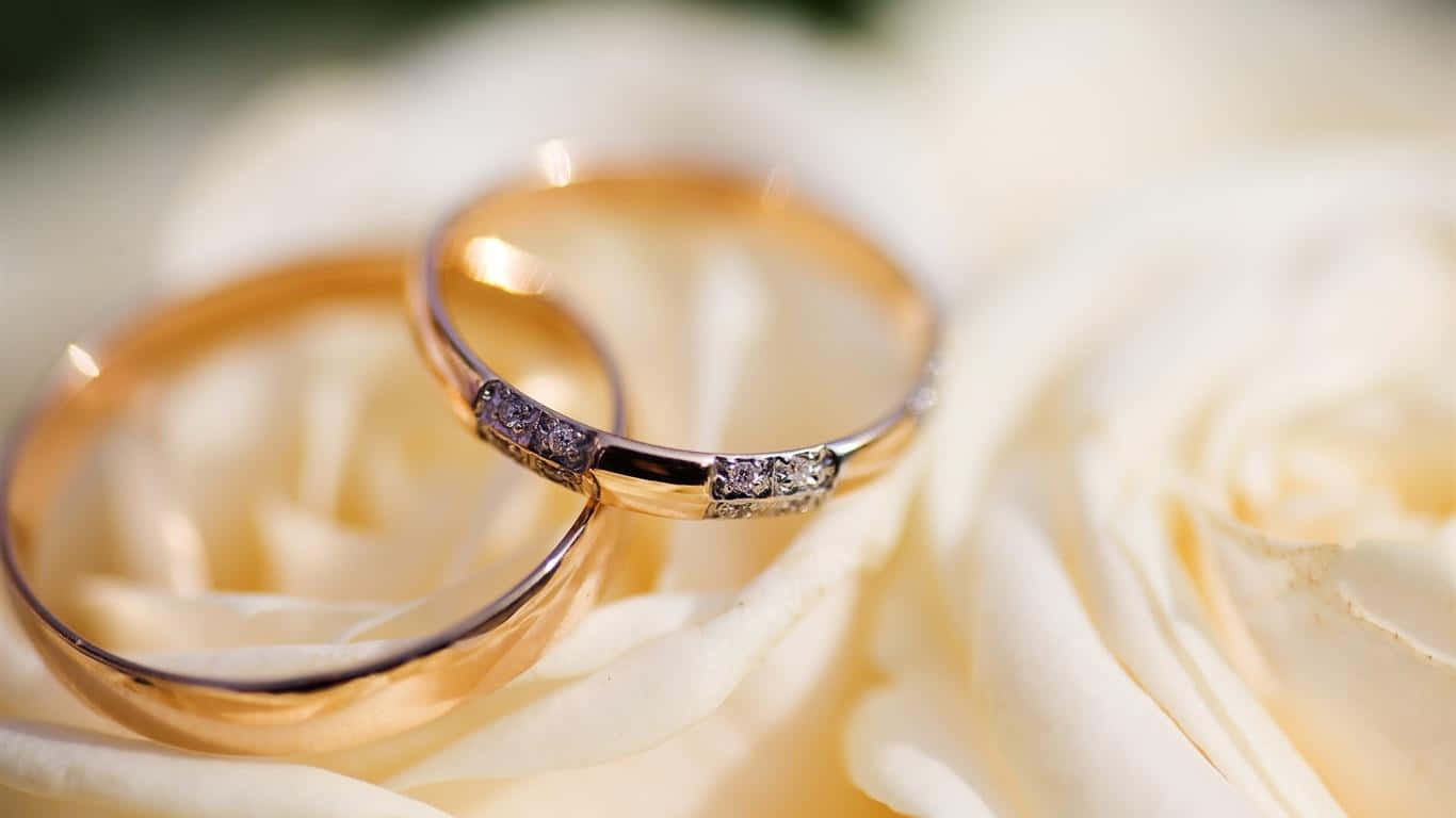 Beautiful Wedding Ring Picture