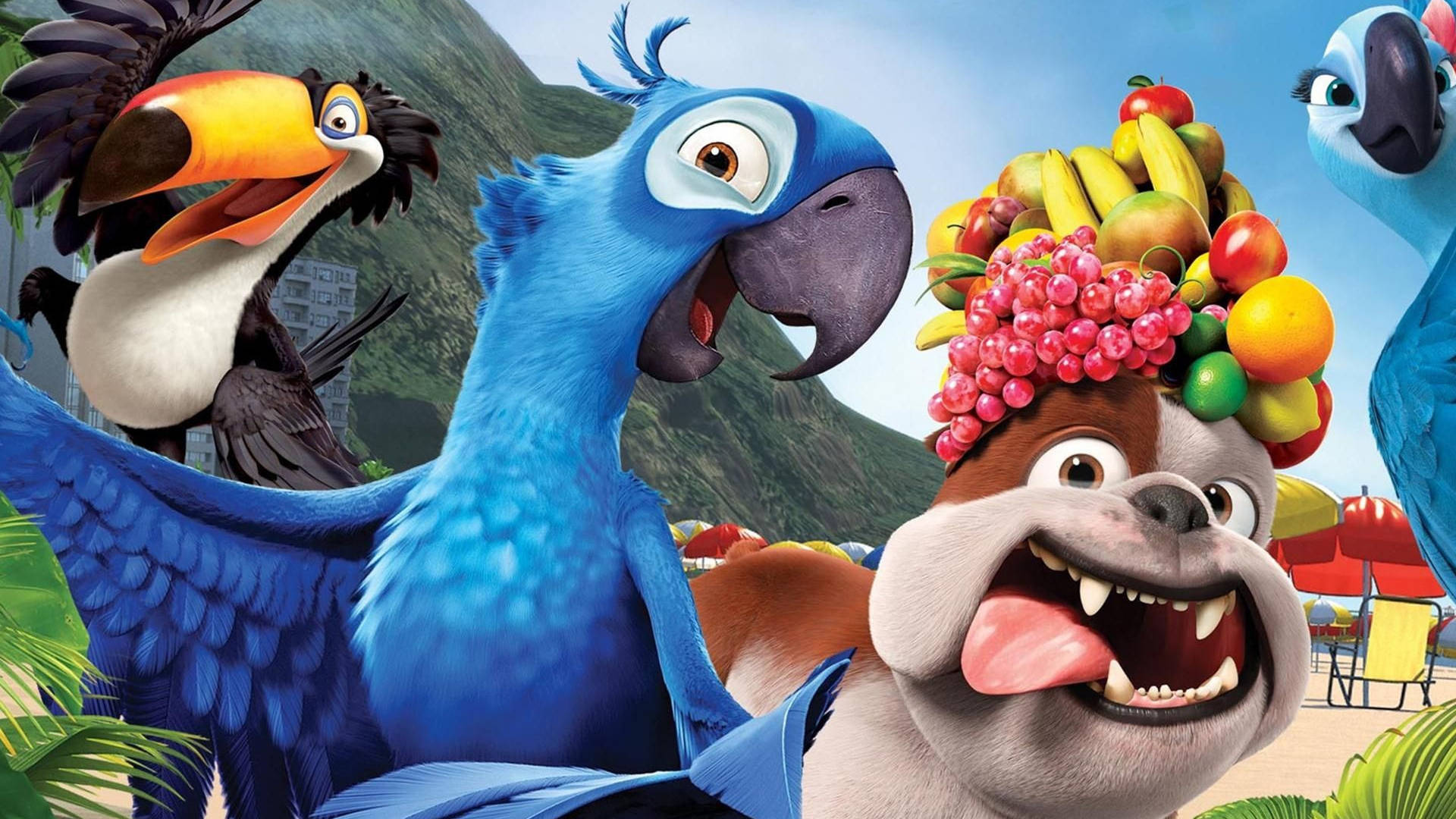 Rio 2 Blu And Characters Wallpaper