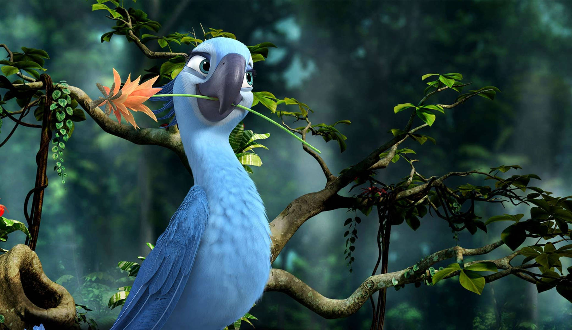 Rio 2 Jewel And Flower Wallpaper