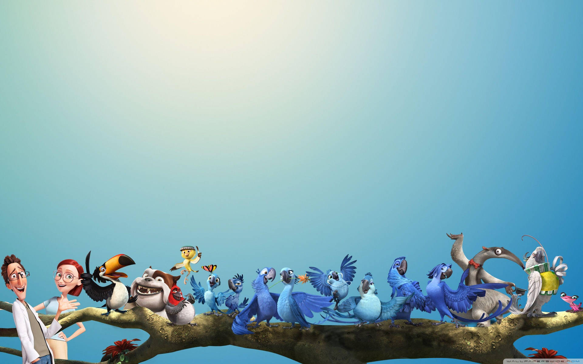 Rio Characters Blue Gradient Background Wallpaper