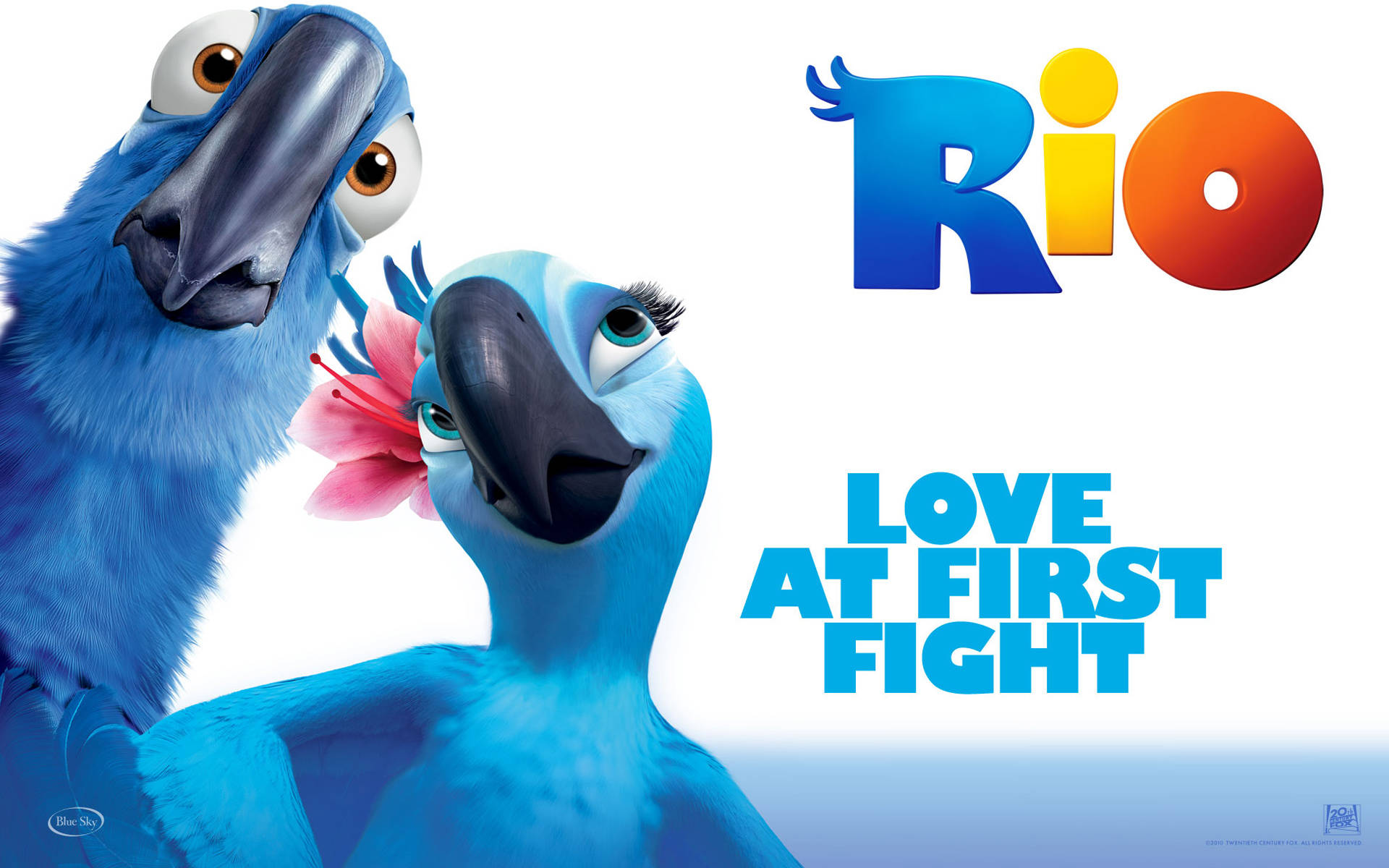 Rio Love At First Fight Wallpaper