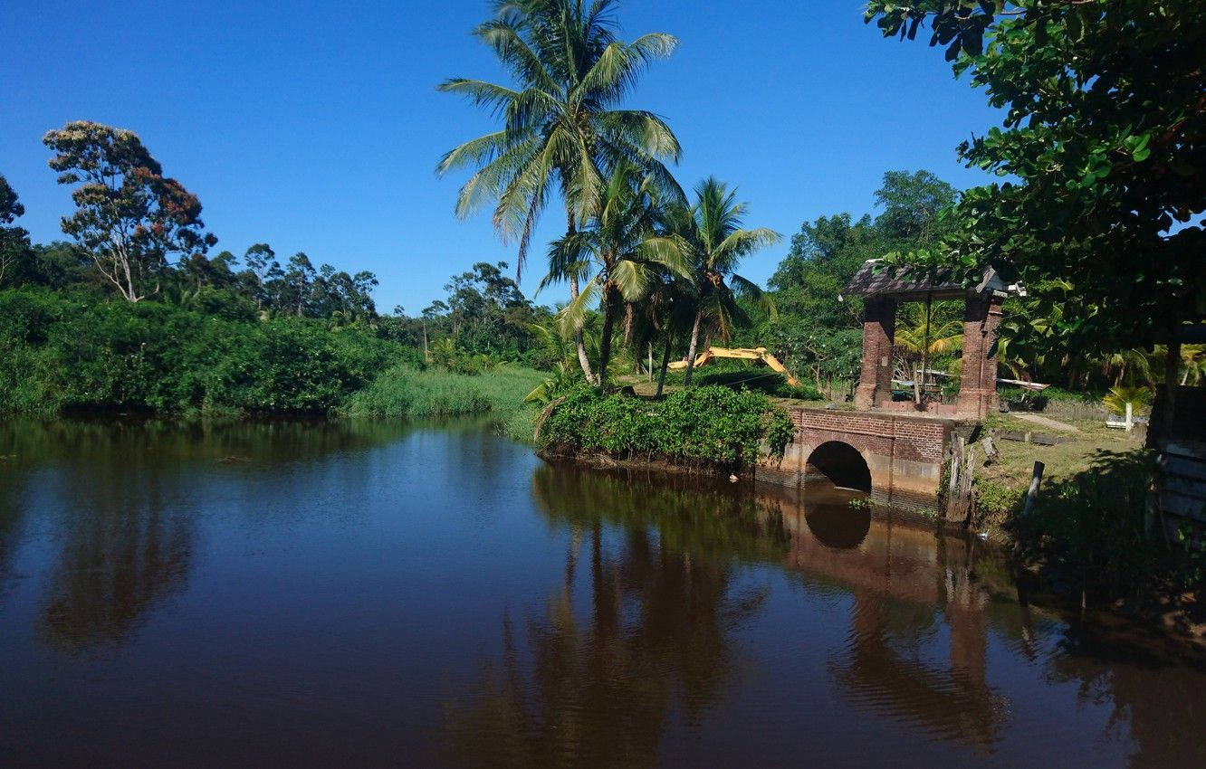 Rio Negro Do Suriname Papel de Parede