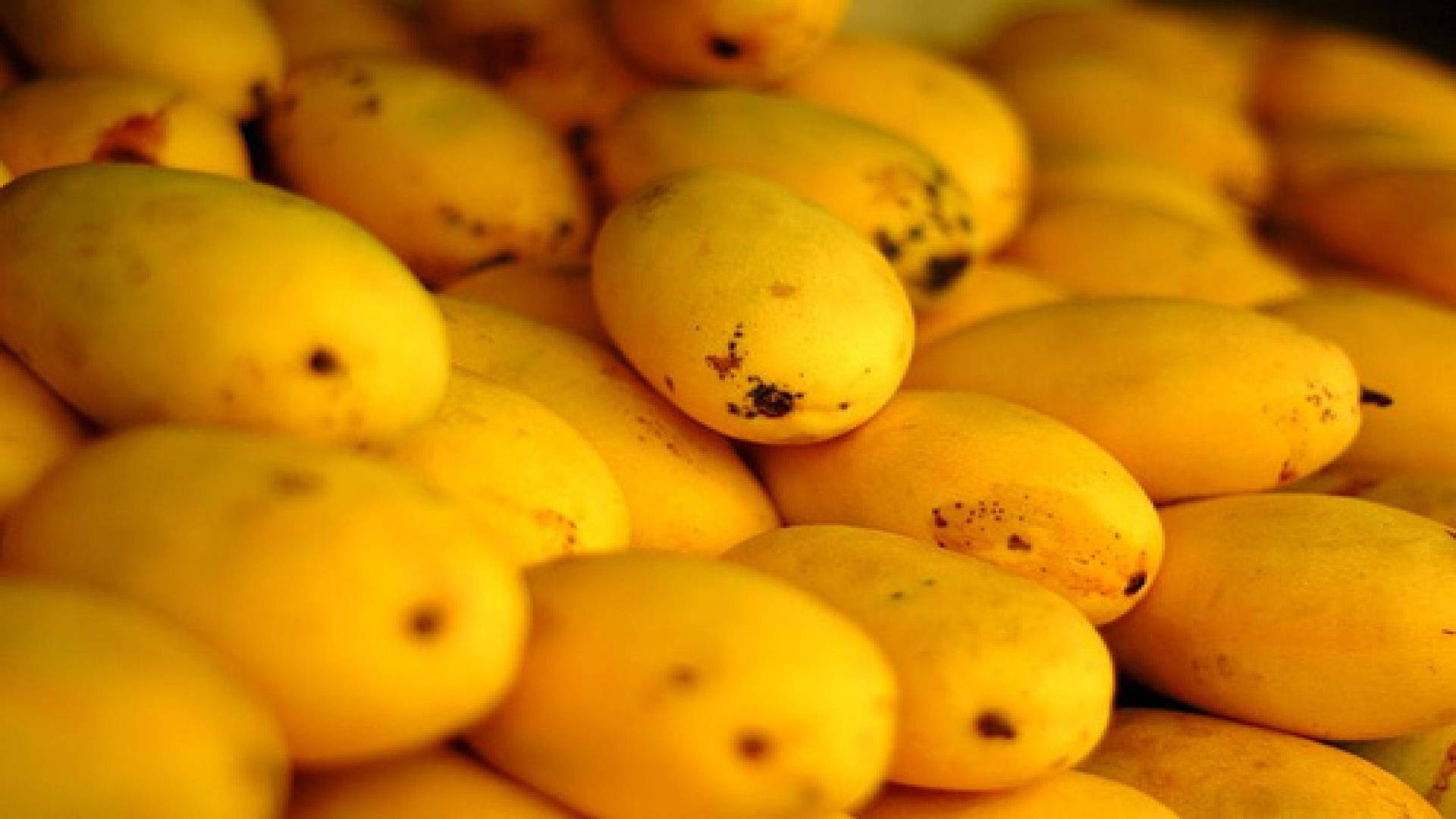 Ripe og friske mango-frugter på skrivebordet Wallpaper