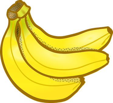 Ripe Banana Cluster Illustration PNG