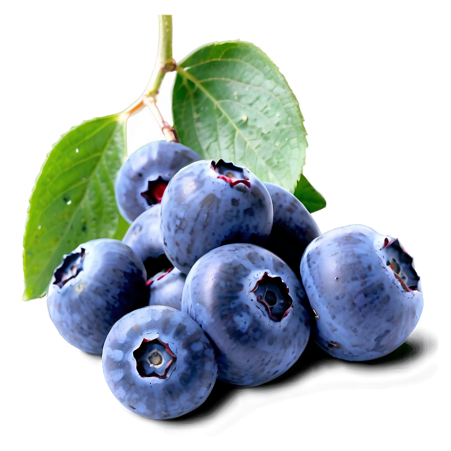 Ripe Blueberries Png 27 PNG