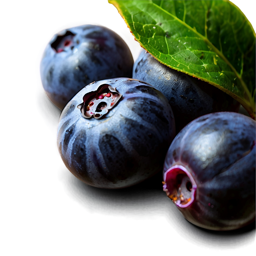 Ripe Blueberries Png 38 PNG