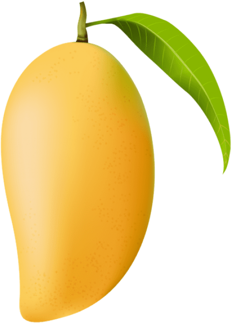 Ripe Mango With Leaf PNG