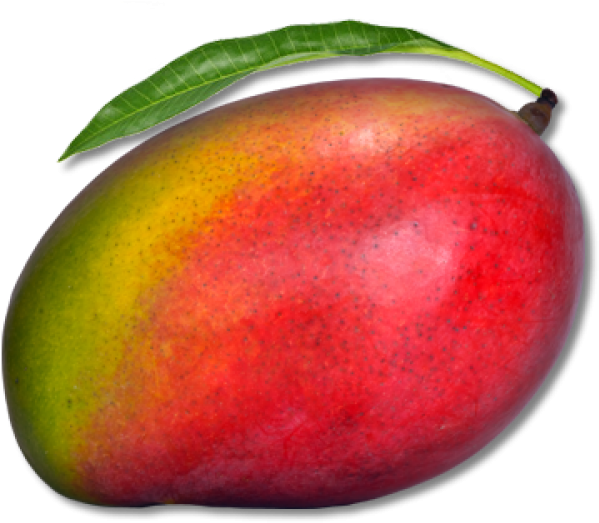 Ripe Mango With Leaf PNG
