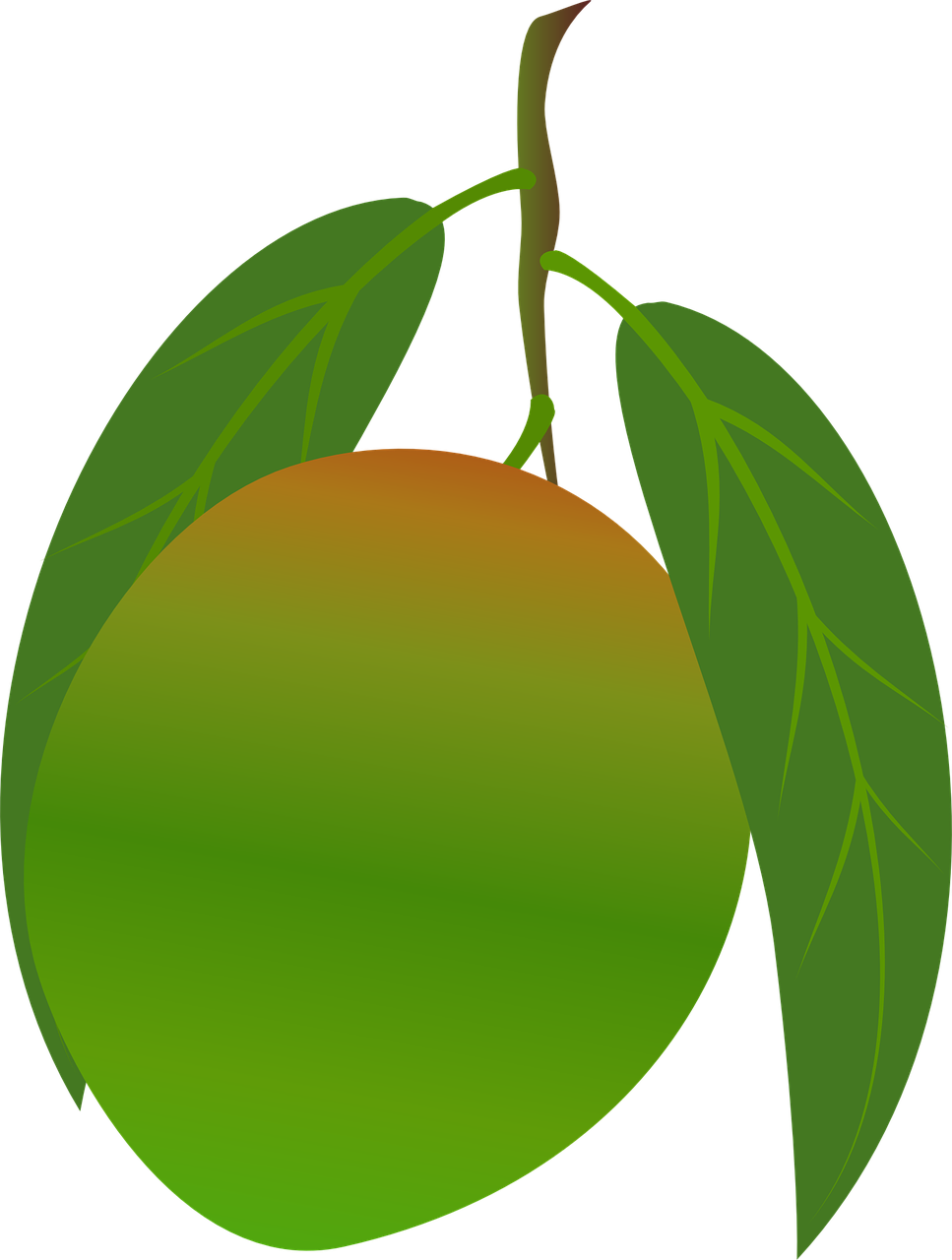 Ripe Mango With Leaves Vector PNG