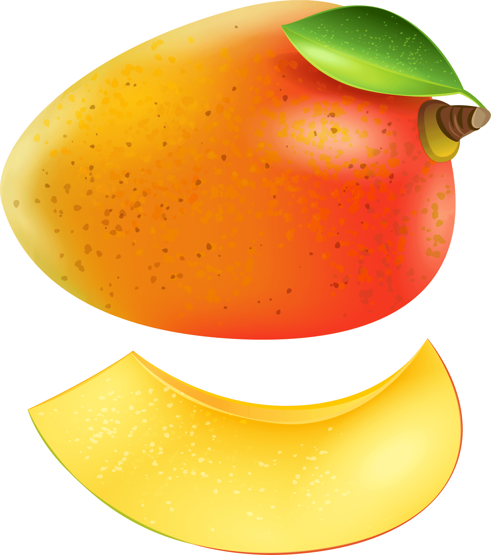 Ripe Papayaand Slice Illustration PNG