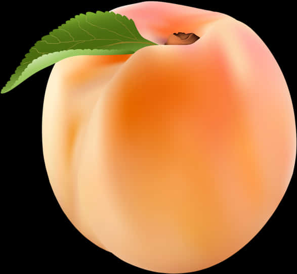 Ripe Peach Illustration PNG