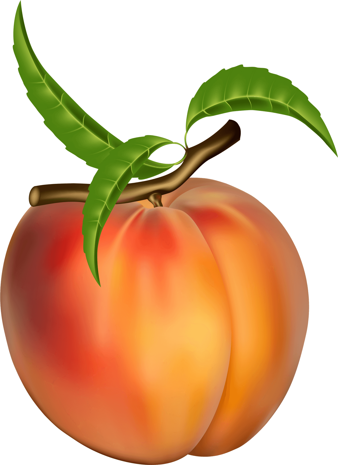 Ripe Peach With Leaves PNG