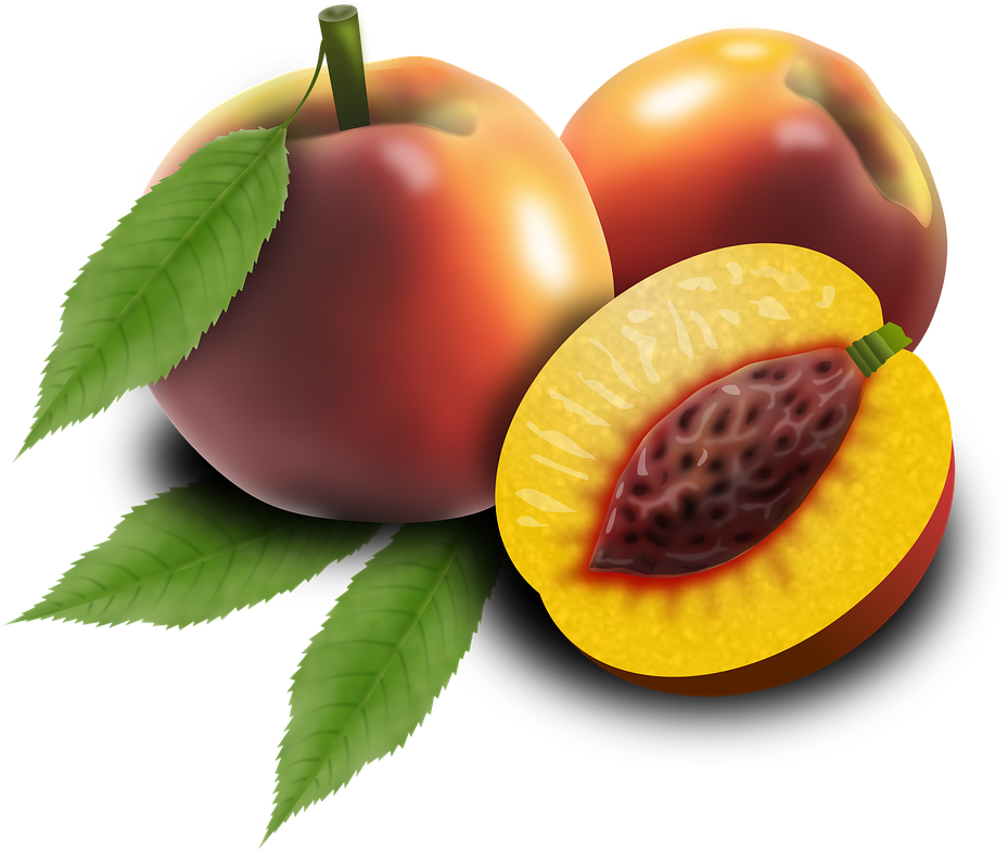 Ripe Peaches With Cross Section PNG