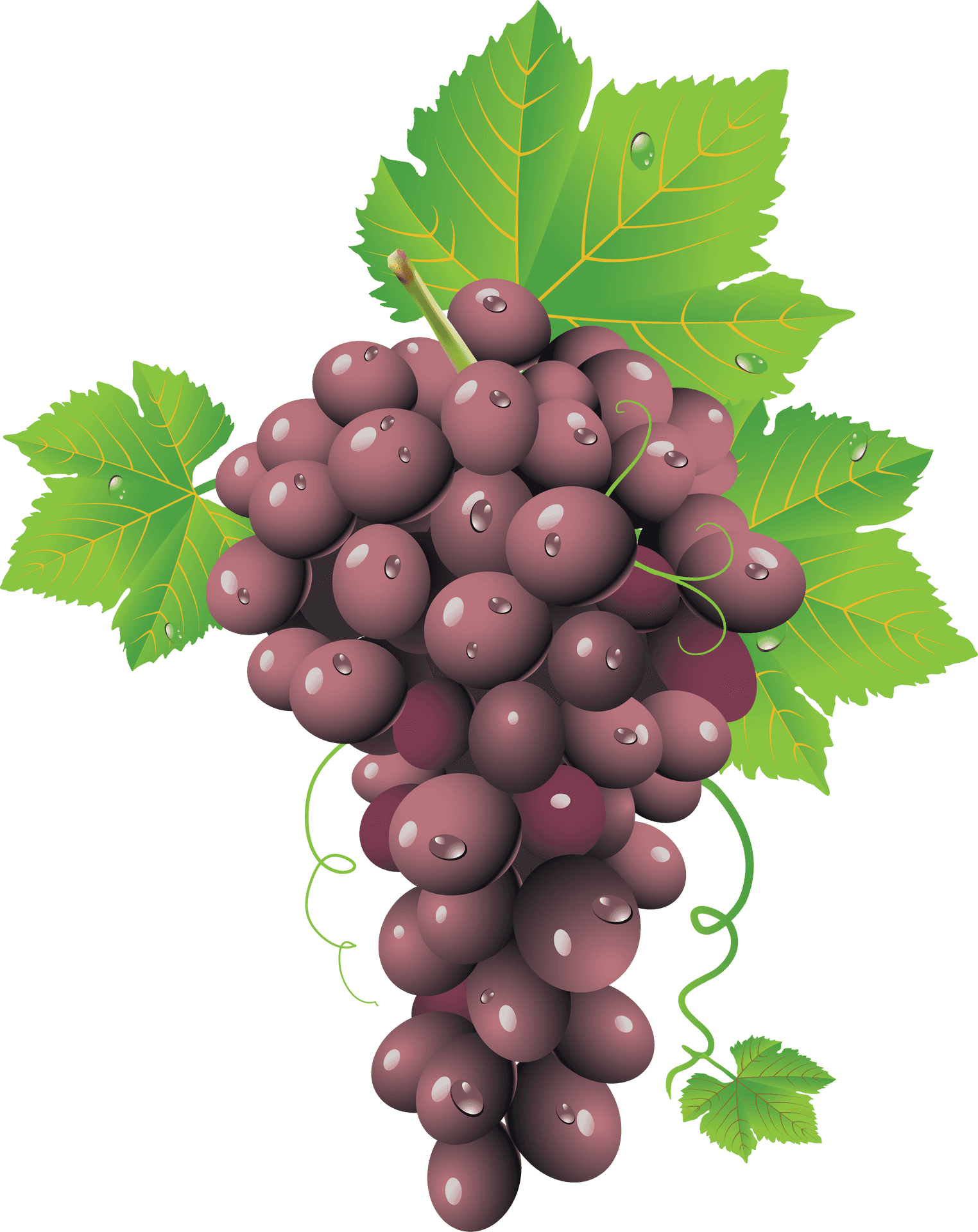 Ripe Red Grape Cluster.png PNG