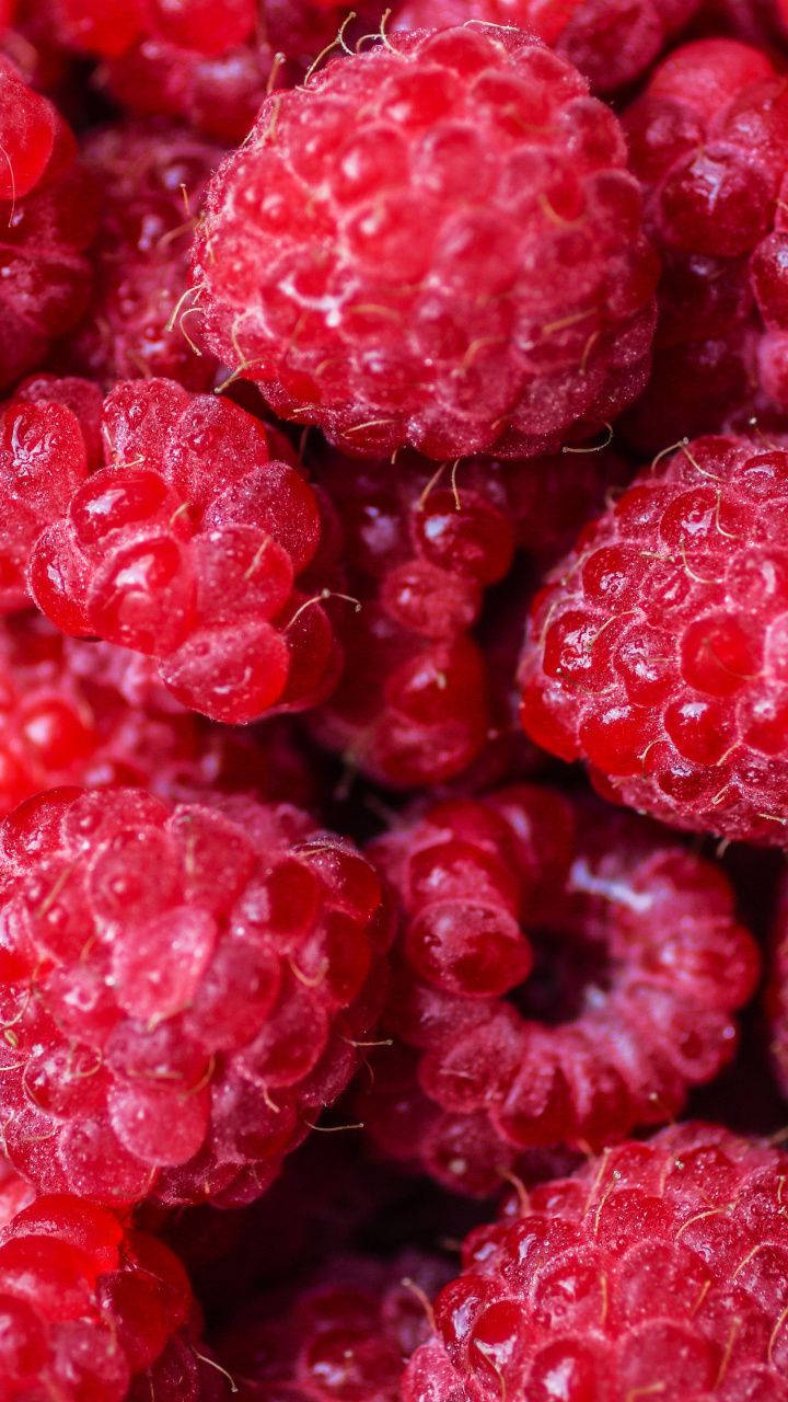 Ripe Red Raspberries Wallpaper