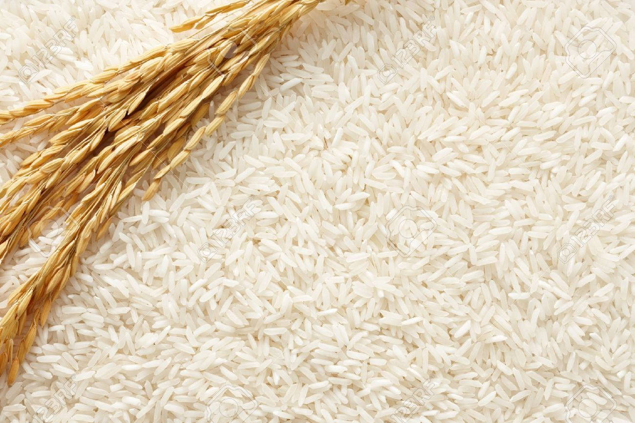 Reifeähre Reis Wallpaper