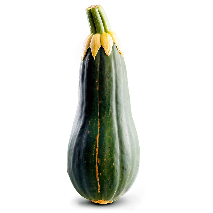 Ripe Squash Png 06122024 PNG