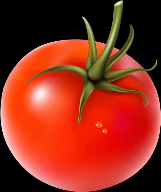 Ripe Tomato Illustration PNG