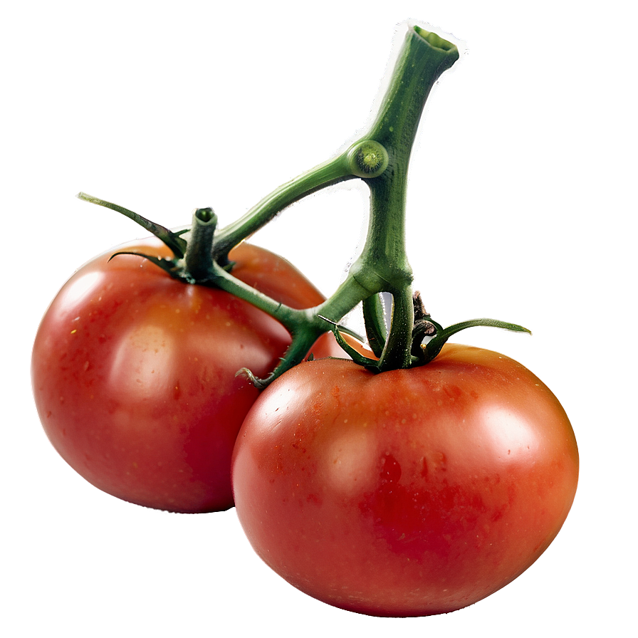 Ripe Tomato Png 05242024 PNG