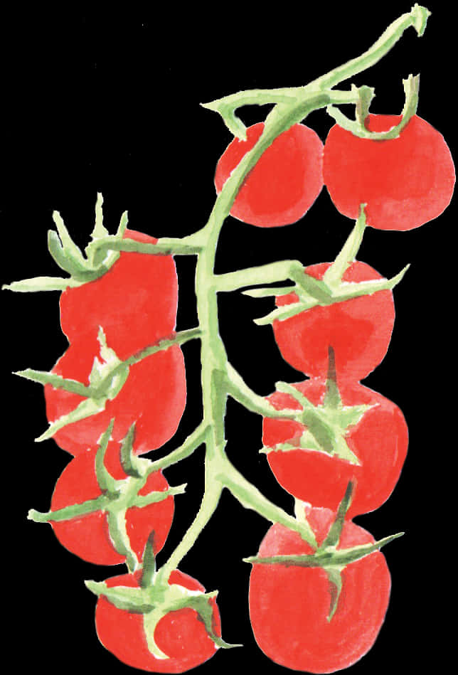 Ripe Tomatoeson Vine PNG