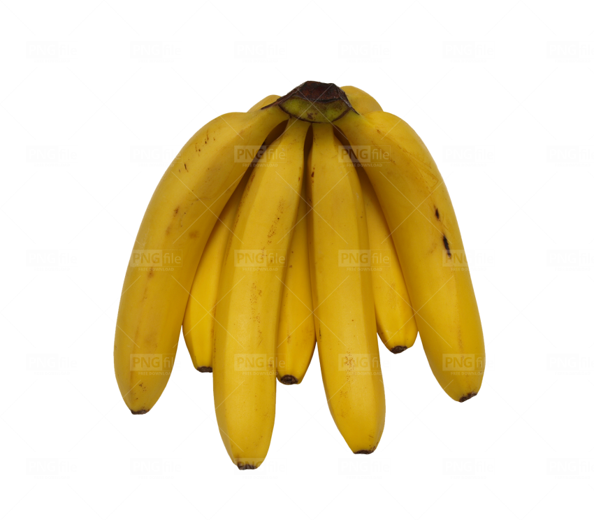 Ripe Yellow Plantainson Blue Background.png PNG