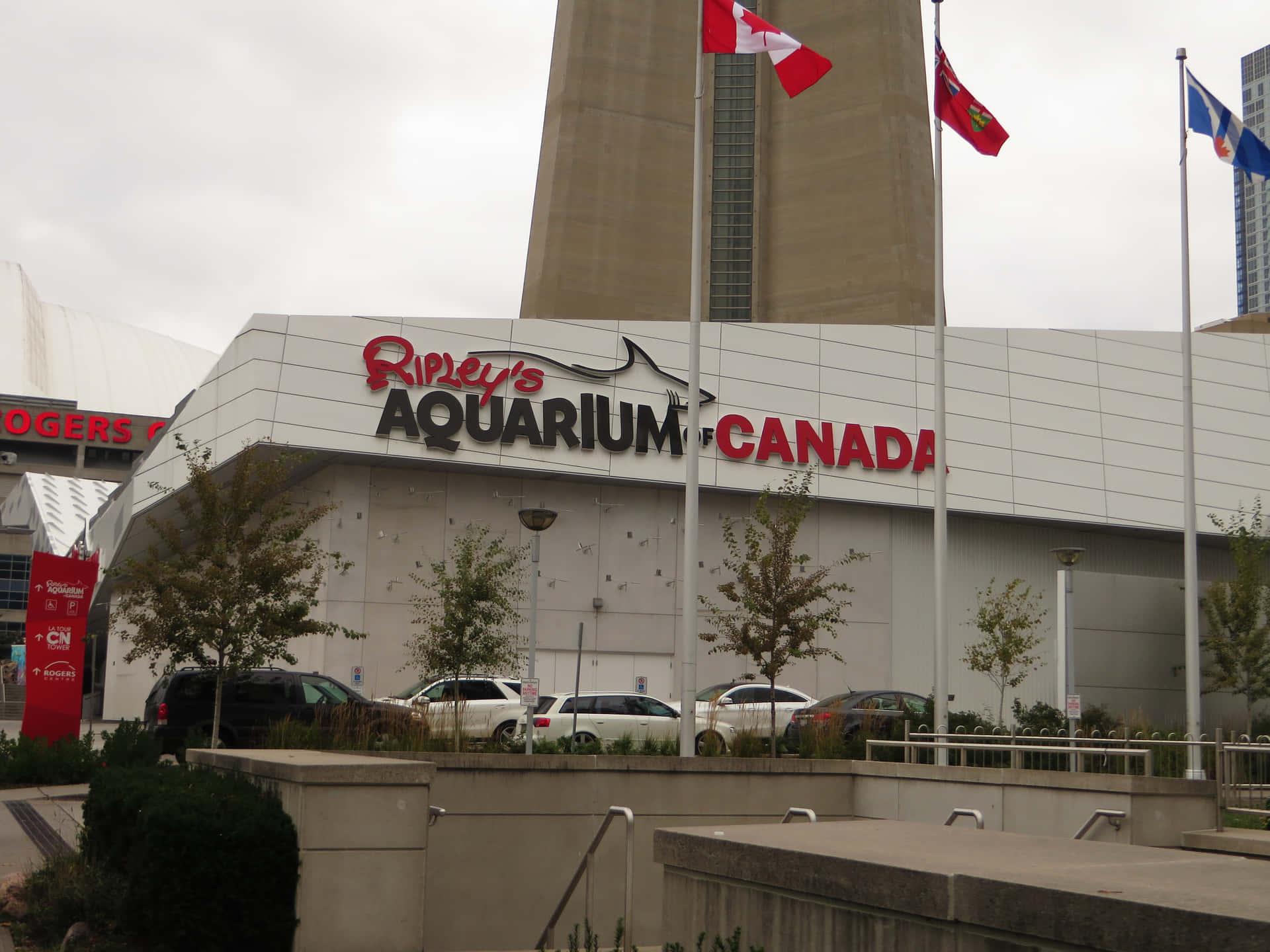 Ripleys Aquarium Canada Exterior Wallpaper