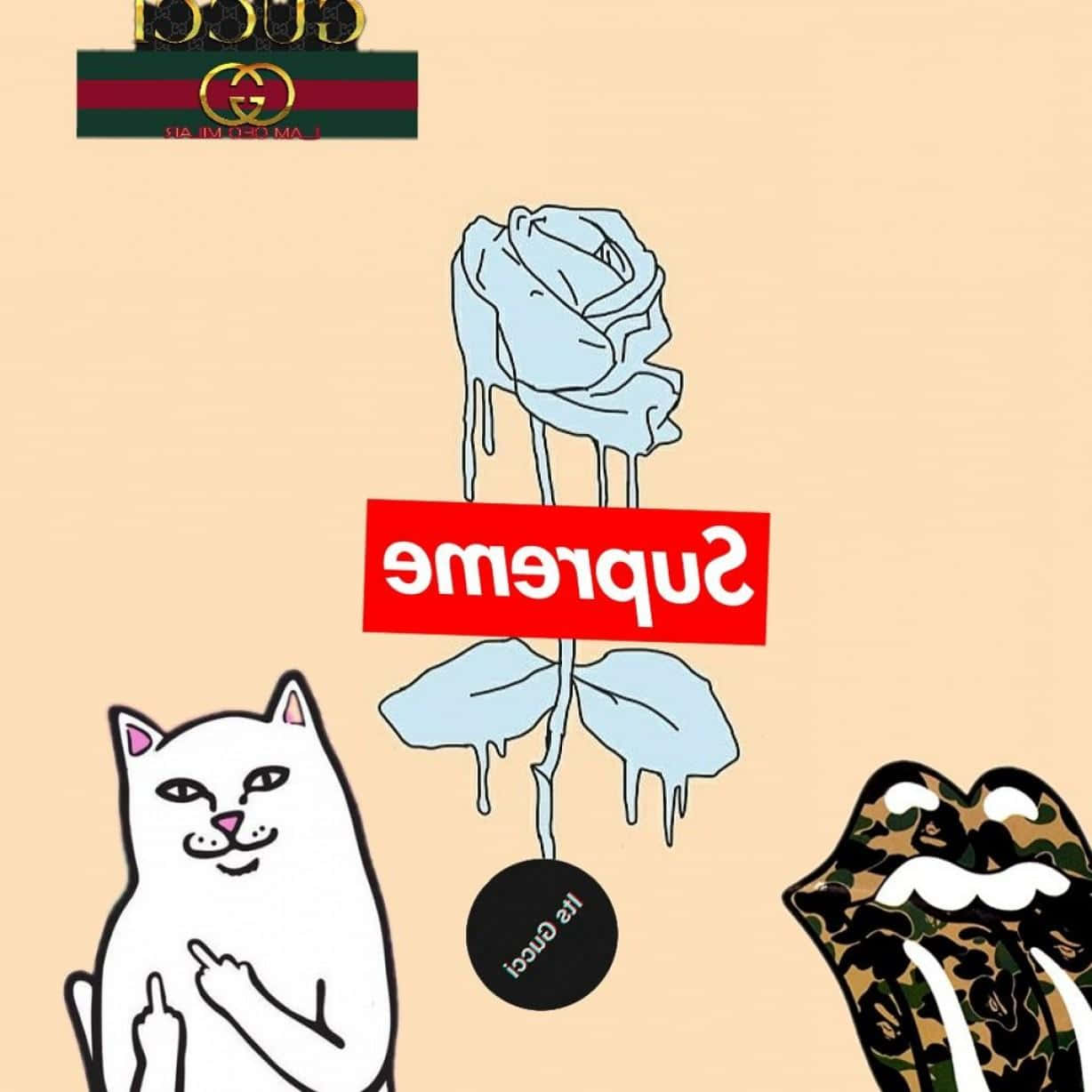 Supreme X Gucci - A Cat And A Rose Wallpaper